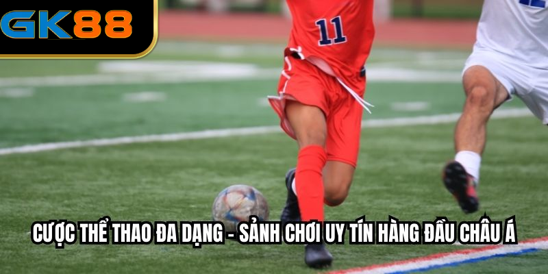 Cược thể thao đa dạng - Sảnh chơi uy tín hàng đầu Châu Á