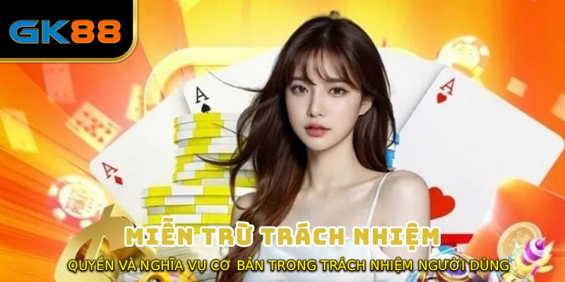 Quyền và nghĩa vụ cơ bản trong trách nhiệm người dùng