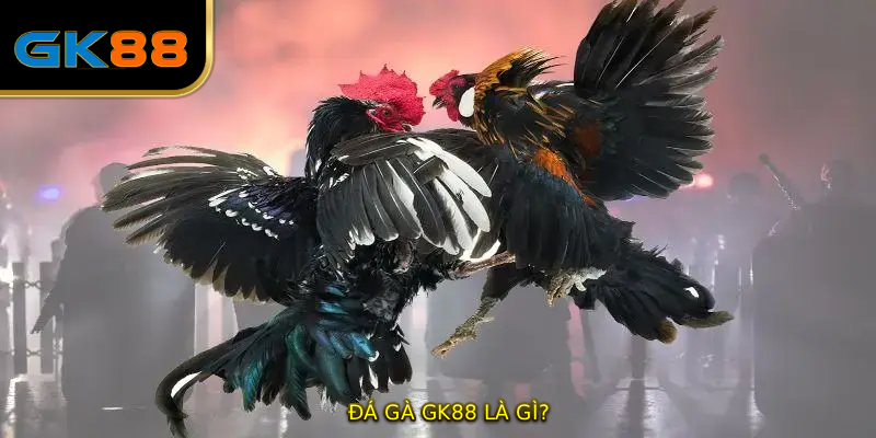 ĐÁ GÀ GK88 là gì?